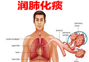 治療潤肺化痰的食療配方