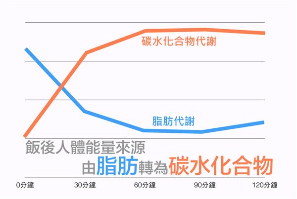 空腹運(yùn)動的理論基礎(chǔ)