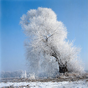 下雪天出門(mén)要注意什么