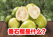 番石榴是什么東西?吃番石榴會(huì)便秘嗎?