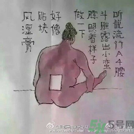 a4腰也叫水桶腰是什么意思？a4腰也叫水桶腰圖片？ 