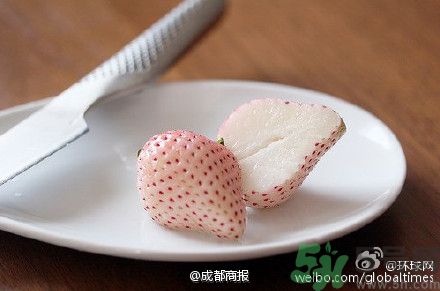 菠蘿莓好吃嗎？菠蘿莓好不好吃？