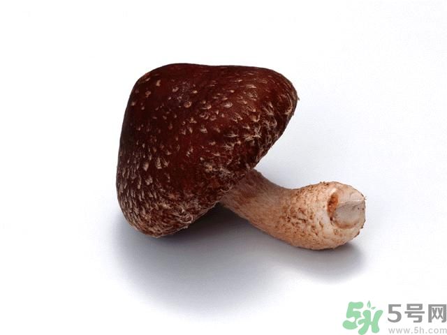 西紅柿發(fā)青可以吃嗎？青西紅柿吃了好不好？