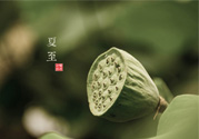 夏至有什么習(xí)俗？夏至吃什么傳統(tǒng)食物？