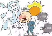 夏季濕氣重怎么辦？夏季祛濕的方法