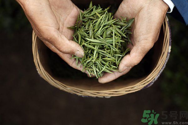 吃魚的時候能喝茶嗎？吃魚可以喝茶嗎？