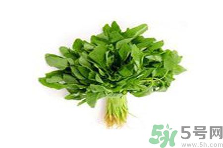 莧菜可以生吃嗎？莧菜生吃了會怎樣？