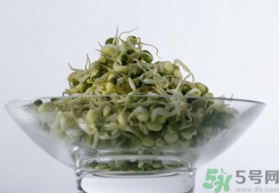 怎樣自己發(fā)綠豆芽？綠豆芽怎樣自己發(fā)？