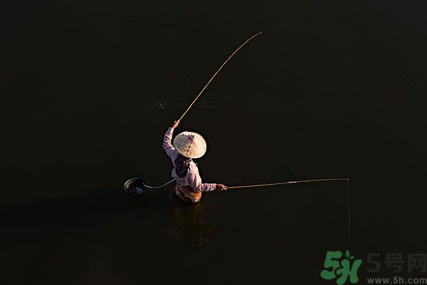 雷陣雨可以釣魚嗎？雷陣雨天氣適合釣魚嗎？