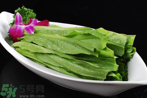 油麥菜孕婦能吃嗎?孕婦吃油麥菜的好處