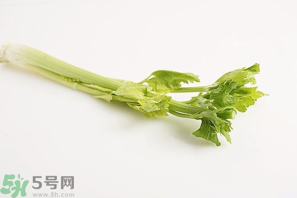 芹菜對精子有害嗎？芹菜對精子質(zhì)量有什么影響？