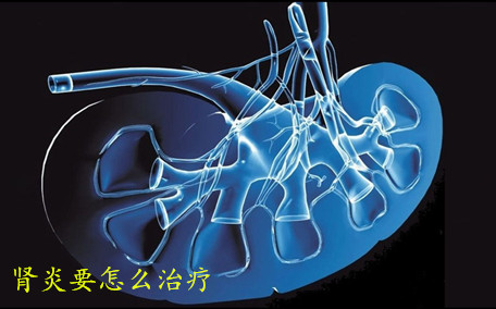 怎樣預(yù)防腎病的發(fā)生 護(hù)腎飲食10要點(diǎn)