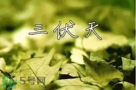 三伏天什么時(shí)候開(kāi)始？三伏天是什么意思？