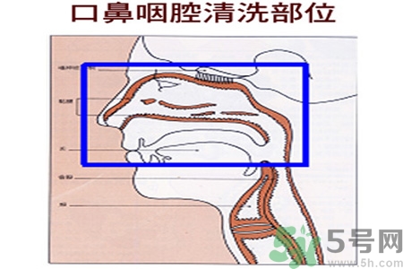 鼻炎能用生理鹽水清理鼻腔嗎？鼻炎能不能用生理鹽水清理鼻腔？