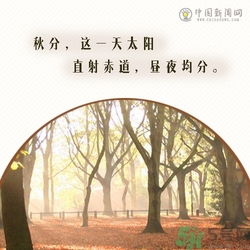 立秋是秋分嗎？立秋和秋分的區(qū)別？