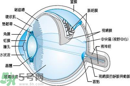 近視眼是什么？近視眼的癥狀有哪些？