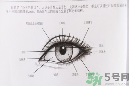 白內(nèi)障的發(fā)病因素是什么？白內(nèi)障并發(fā)癥有哪些？