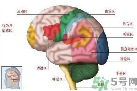 腦出血的發(fā)病因素是什么？腦出血的并發(fā)癥有哪些？