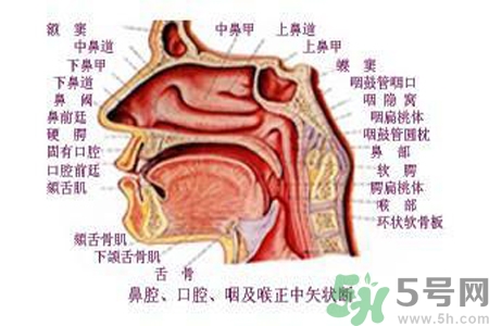 鼻咽癌的日常措施是什么？鼻咽癌注意的飲食有哪些？