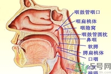 鼻咽癌的日常措施是什么？鼻咽癌注意的飲食有哪些？