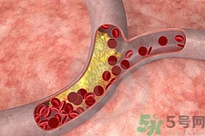 膽固醇對(duì)人體有傷害嗎？膽固醇是什么？