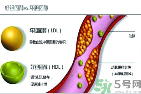 膽固醇高會引發(fā)什么疾病嗎？如何控制高膽固醇？