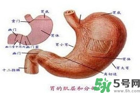 急性腸胃炎哪些食物不可以吃？急性腸胃炎不能吃的水果有？