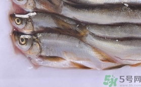 鯛魚的營養(yǎng)價(jià)值 鯛魚的功效與作用及食用方法