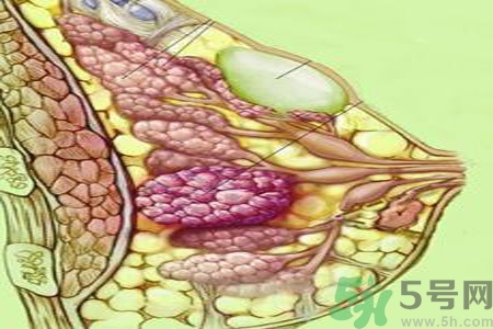 乳房屋硬塊有疼痛感怎么回事？乳房屋硬塊有疼痛感怎么辦？