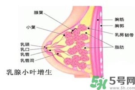 乳房上有硬塊怎么辦？乳房有硬塊的病因是什么？