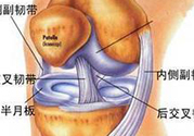 前十字韌帶斷裂可以參加比賽嗎？前十字韌帶斷裂怎么治療？
