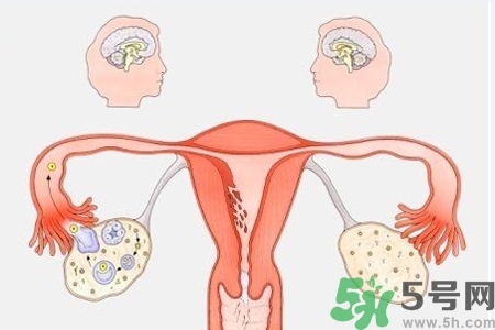 陰道出血癥狀有哪些？陰道出血需注意什么問(wèn)題？