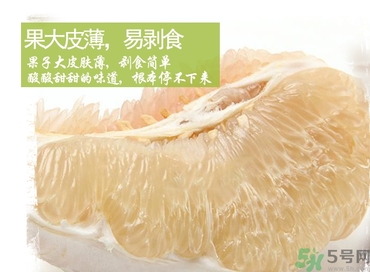 文旦柚的功效作用 文旦柚的營(yíng)養(yǎng)價(jià)值食用禁忌