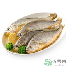 小黃魚的營養(yǎng)價值 小黃魚的功效與作用