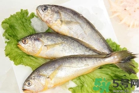 秋季適合吃什么魚？秋季吃魚的好處？