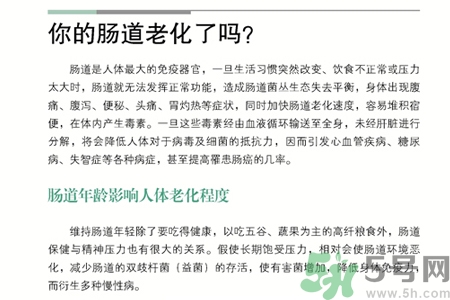 引起腸道老化的原因是什么？四種人腸道老化快