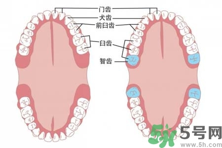 智齒橫著長怎么辦？智齒橫著長一定要拔了嗎？