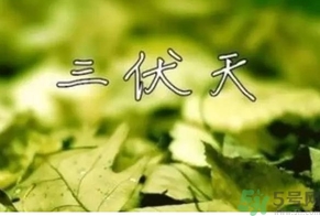 三伏天可以理發(fā)嗎？三伏天為什么不能理發(fā)？