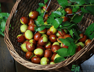 新鮮紅棗補(bǔ)血嗎？吃新鮮紅棗補(bǔ)血嗎？