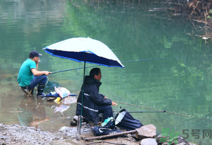 釣的魚怎么保存？釣的魚吃不完怎么保存？