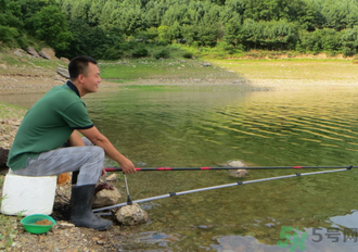 釣的魚怎么保存？釣的魚吃不完怎么保存？