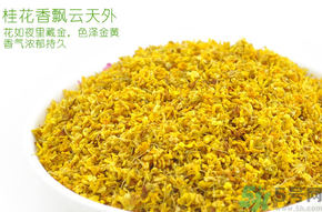 剛摘的桂花有蟲怎么辦？干桂花長蟲怎么辦？