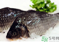 鯽魚死了一夜能吃嗎？鯽魚死了一天能吃嗎？