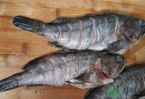 黑魚(yú)怎么洗掉身上的粘液？黑魚(yú)怎么洗才干凈？