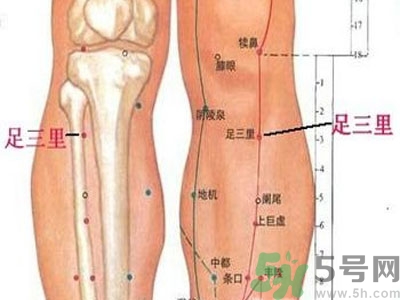 艾灸足三里有什么好處？艾灸足三里的功效