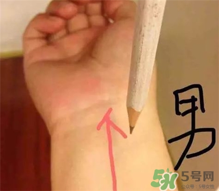 用鉛筆怎么測(cè)胎兒性別?用鉛筆和針測(cè)男女性別準(zhǔn)嗎?