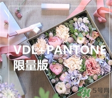 vdl限量版眼部妝前乳多少錢?vdl限量版眼部打底專柜價格