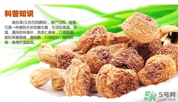 巴西蘑菇怎么吃？巴西蘑菇的作用與功效