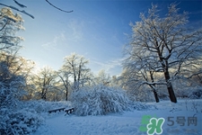 下雪天開車常識及技巧你知道嗎？下雪天開車的注意事項