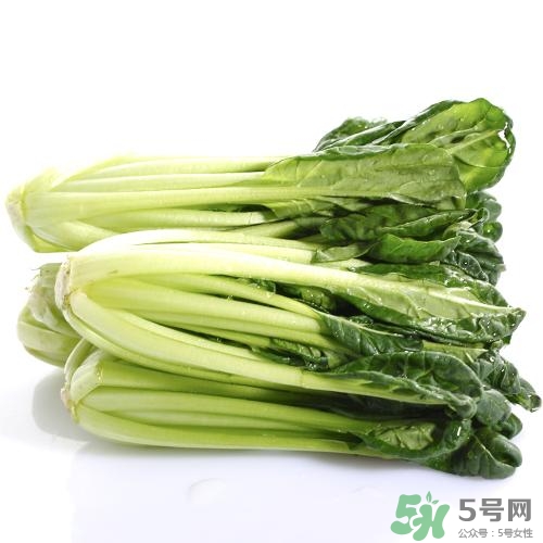 烏塌菜的營(yíng)養(yǎng)價(jià)值 烏塌菜的功效與作用